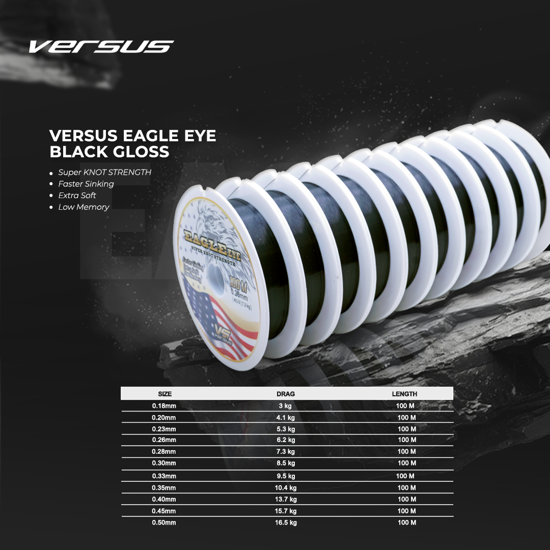 VERSUS EAGLE EYE BLACK GLOSS4